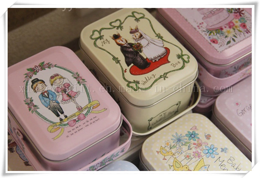 New Hand-Painted Illustrations Peter Rabbit Tote Tin Box Jewelry Box Storage Case Iron Box Candy Container Gift Box